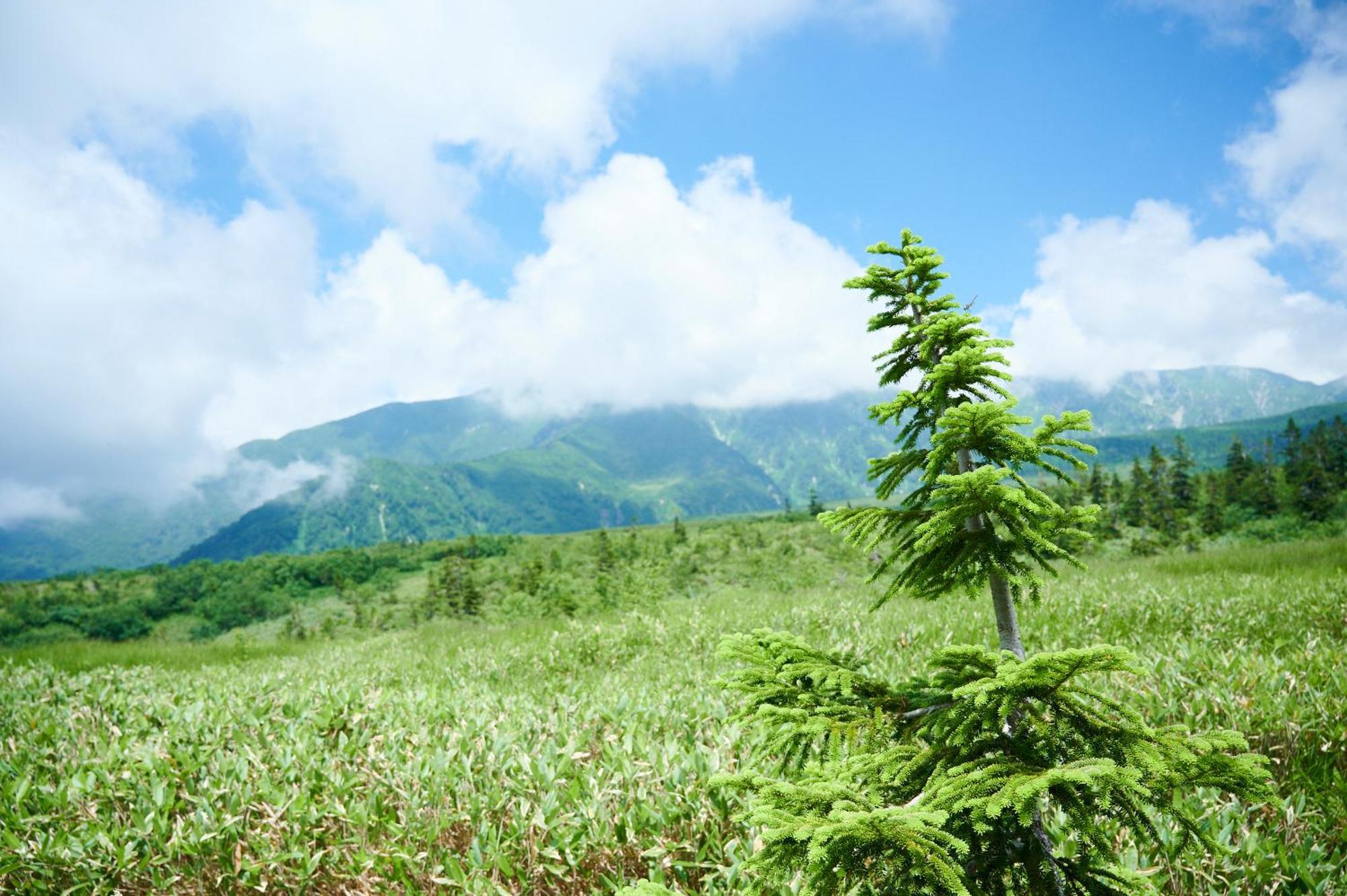 弥陀之原酒店 立山町 外观 照片